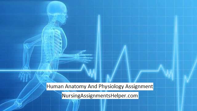 BHS004-1 Human Anatomy And Physiology