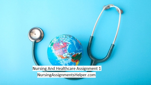 NUR2300 Health Care Assignment