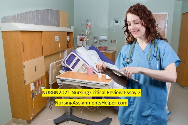 NURBN2021 Critical Review Essay 2
