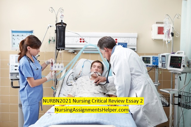 NURBN2021 Critical Review Essay 2