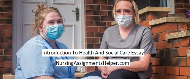 ASS072-1 Introduction To Health And Social Care Essay
