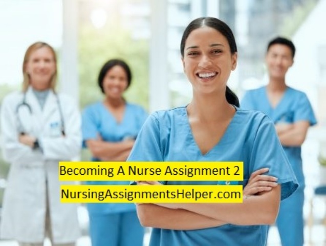 BAN101 Becoming A Nurse Assignment 2
