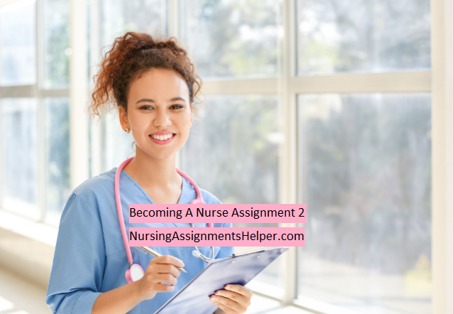 BAN101 Becoming A Nurse Assignment 2
