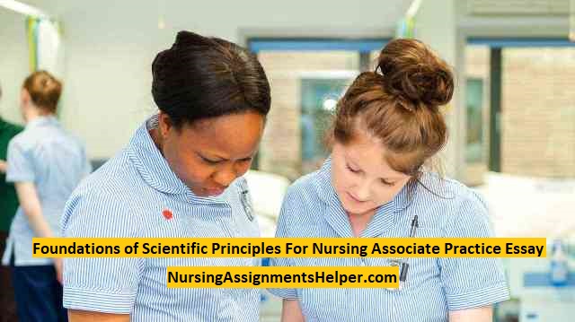 NIP1902 Nursing Essay UK