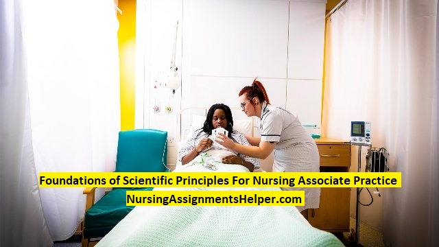 NIP1902 Nursing Essay UK