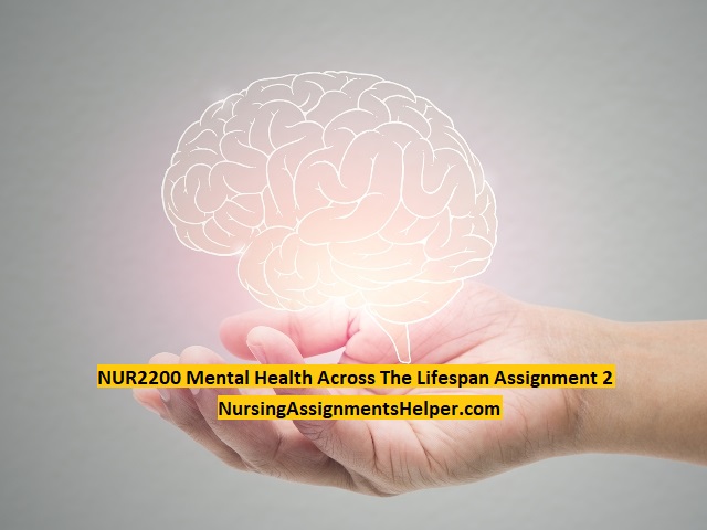 NUR2200 Mental Health Across Lifespan Assignment