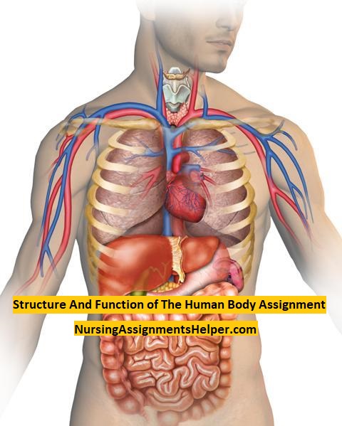 SHB102 Structure And Function of The Human Body
