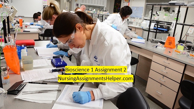 NURS1023 Bioscience 1 Assignment 2