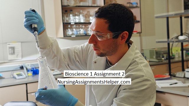 NURS1023 Bioscience 1 Assignment 2