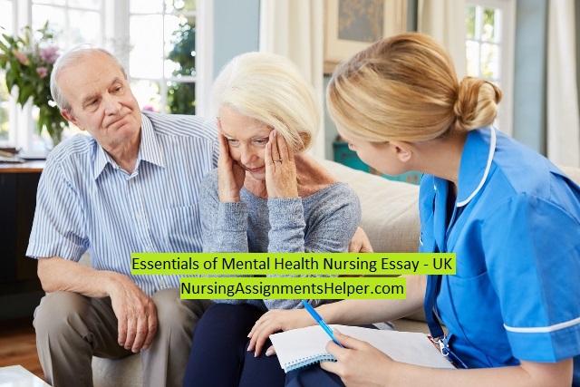 Essentials of Mental Health Nursing
