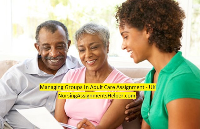 525 Managing Groups In Adult Care