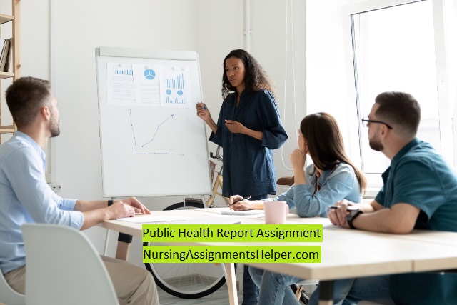 Public Health Report Assignment
