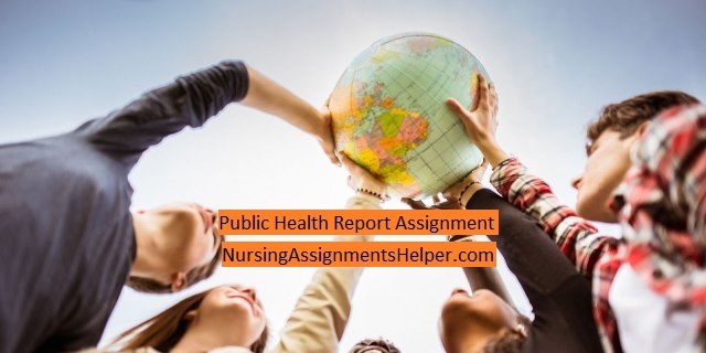 Public Health Report Assignment
