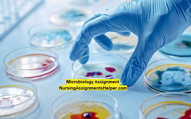 BIOS5004 Microbiology Assignment